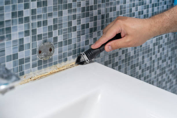 Best Toxic Mold Removal  in Hasbrouck Heights, NJ