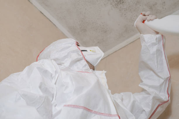 Best Residential Mold Removal  in Hasbrouck Heights, NJ